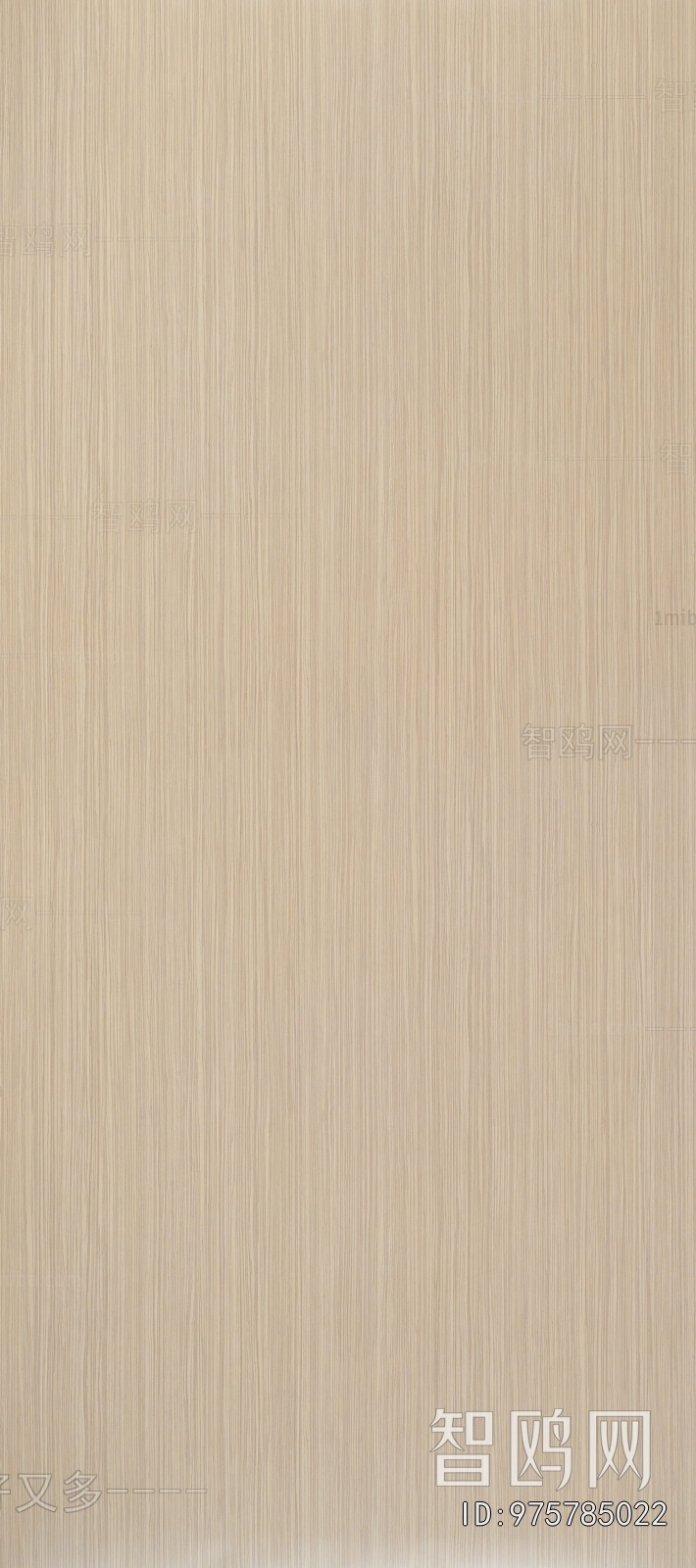 Wood Texture