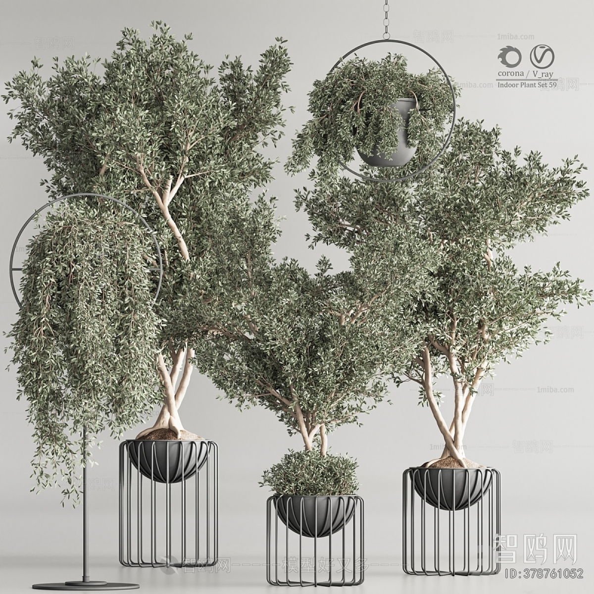 Modern Ground Green Plant Potted Plants
