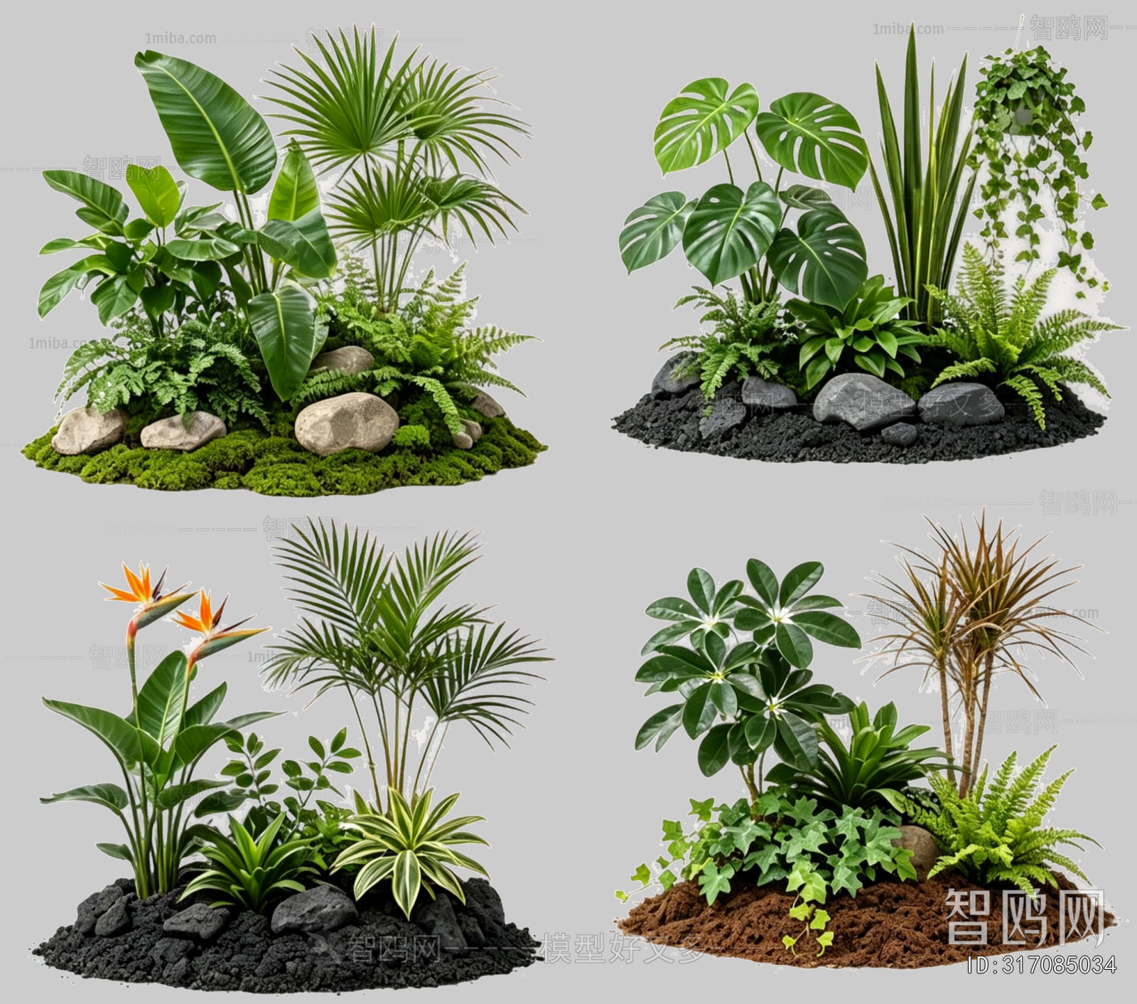 Plant Leaves