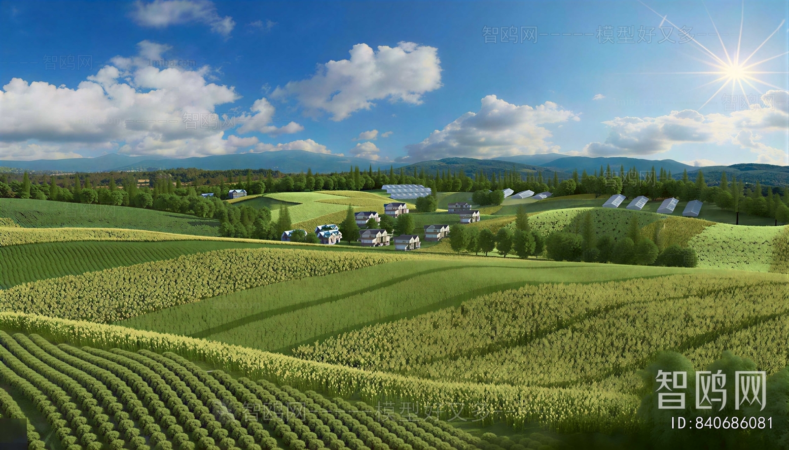Modern Landscape