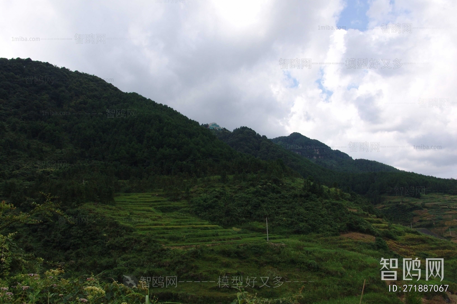 Scenery