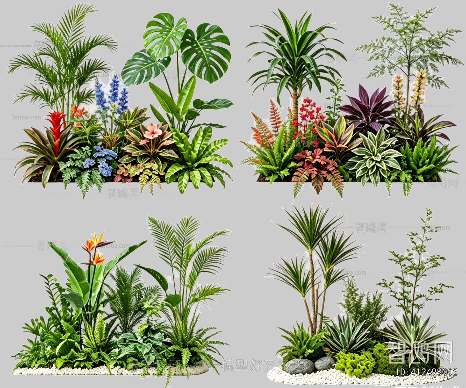 Plant Leaves