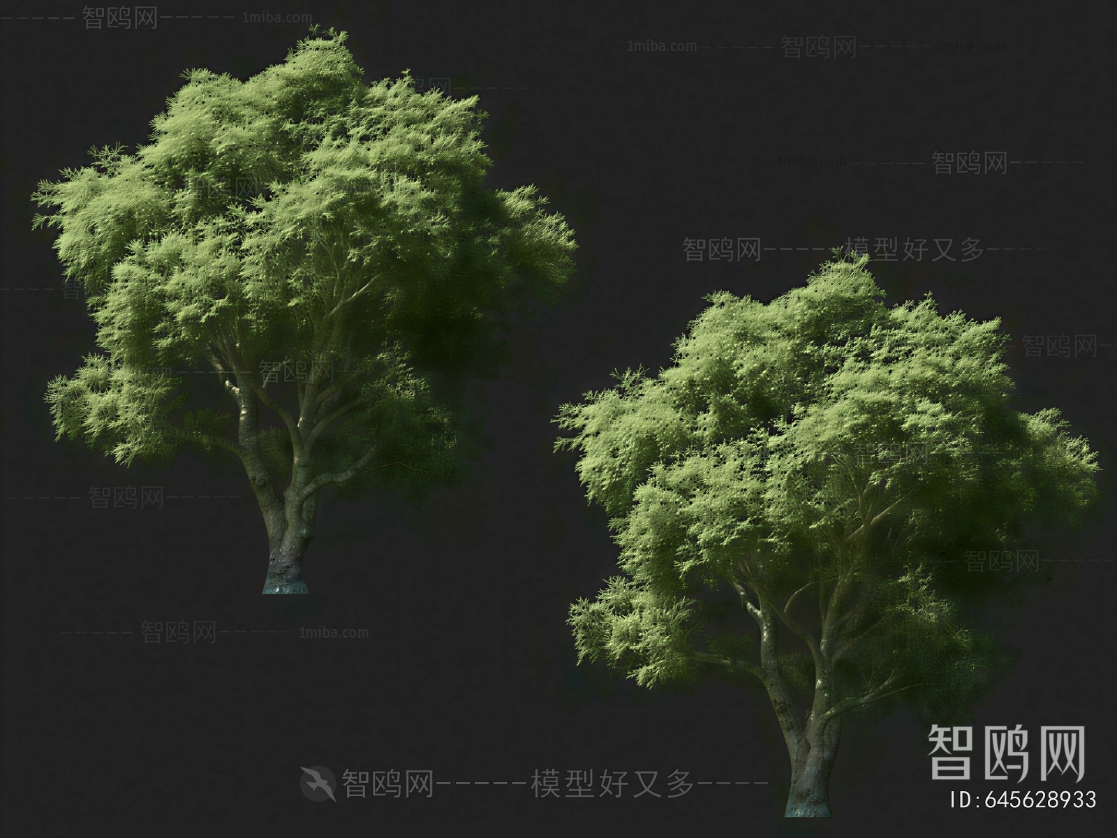 Modern Tree