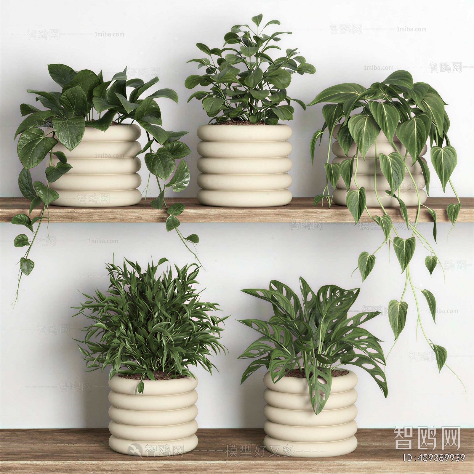 Modern Potted Green Plant
