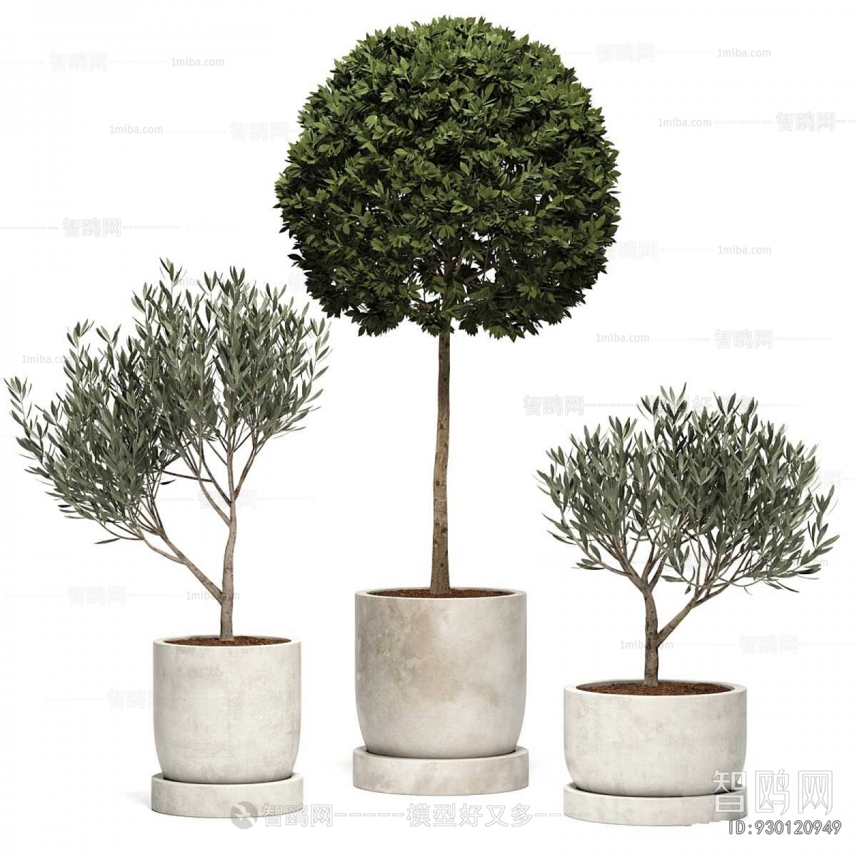 Modern Ground Green Plant Potted Plants