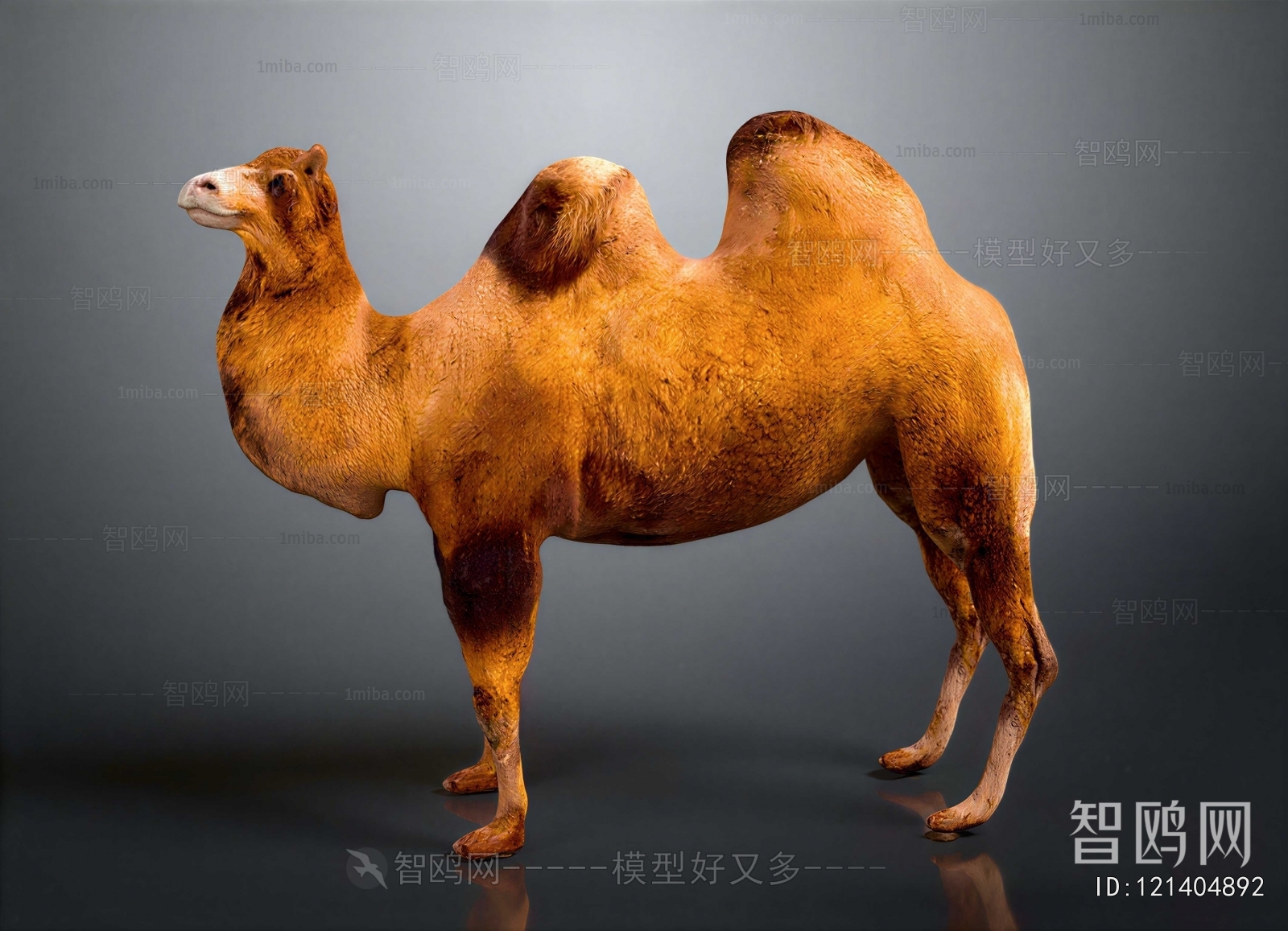 Modern Mammal
