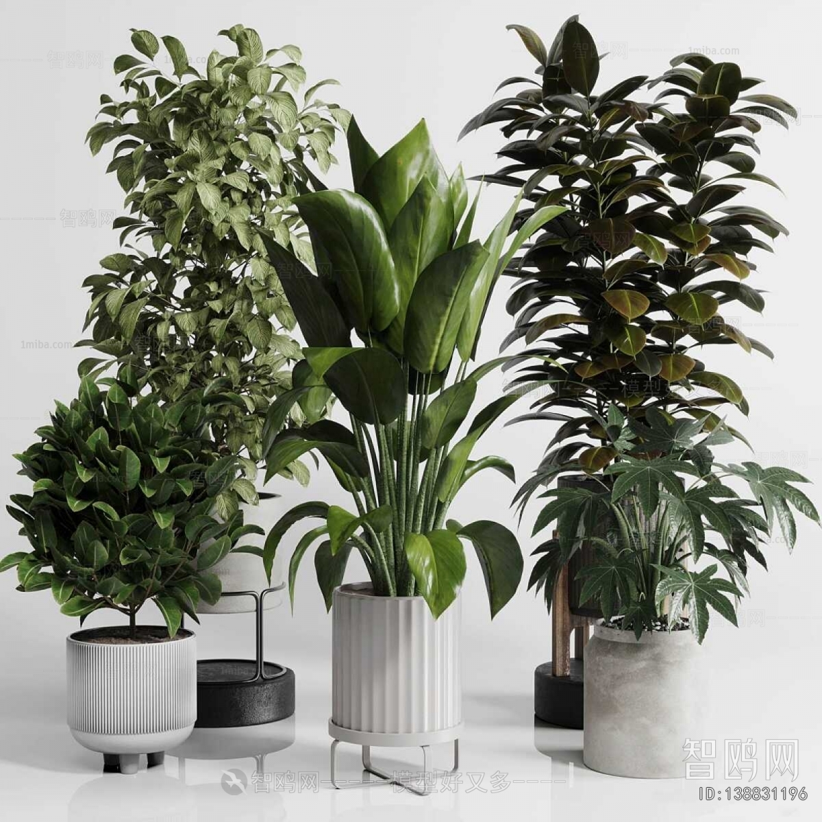 Modern Ground Green Plant Potted Plants