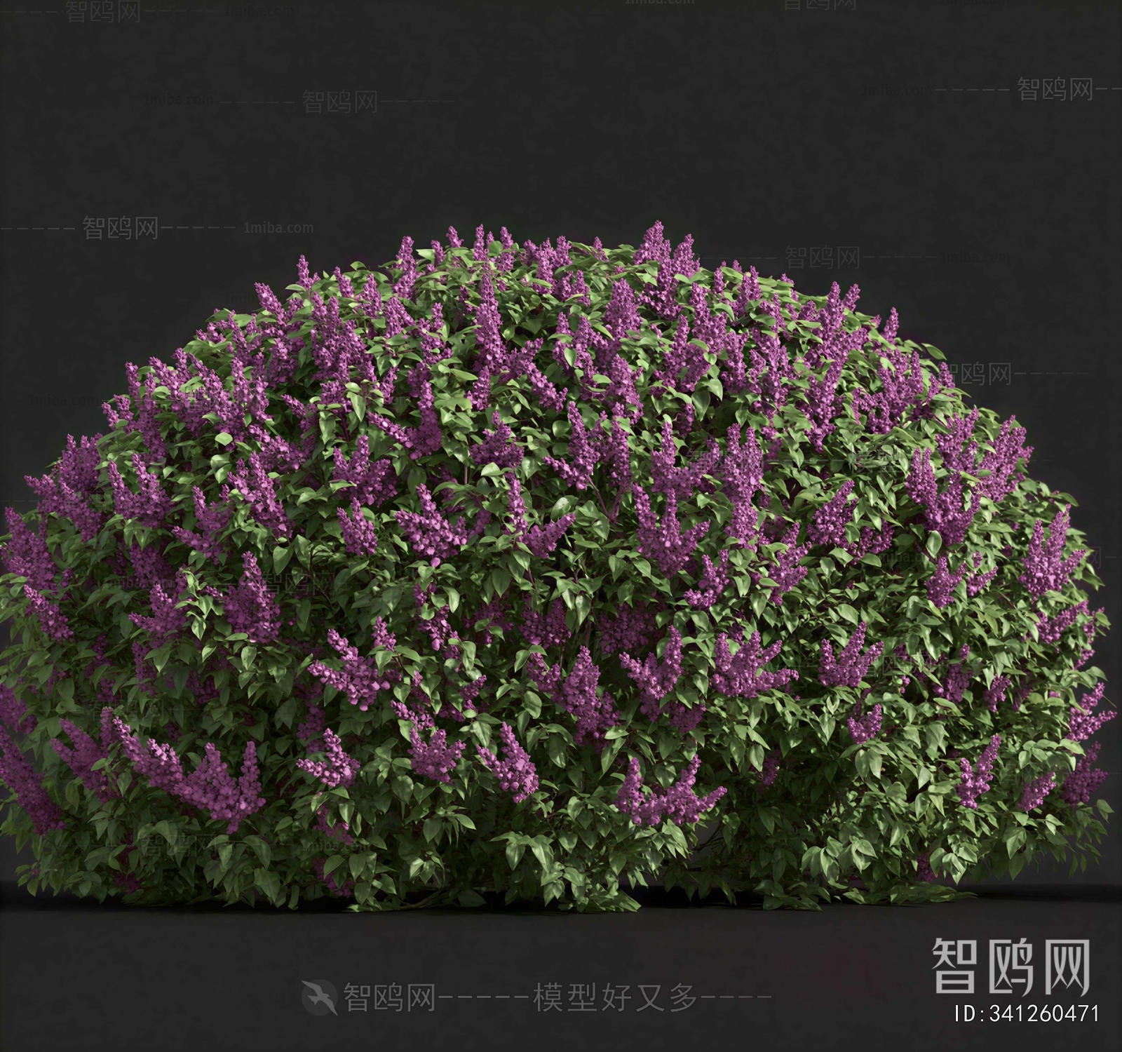 Modern Shrubbery