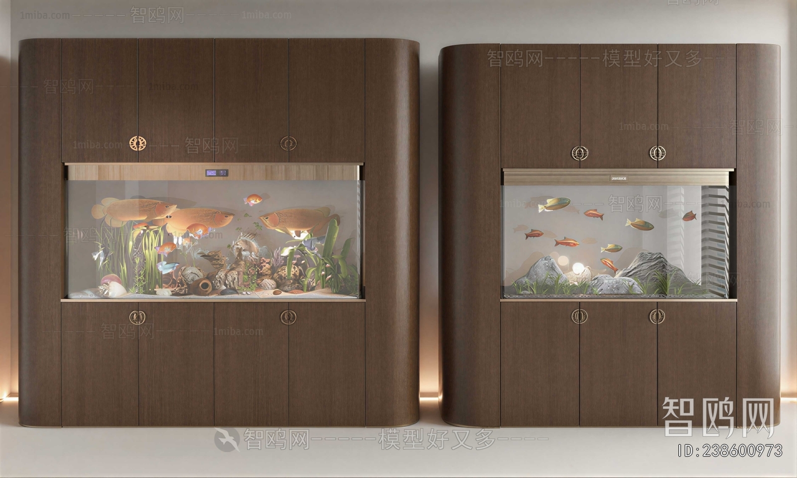 Modern Fish Tank