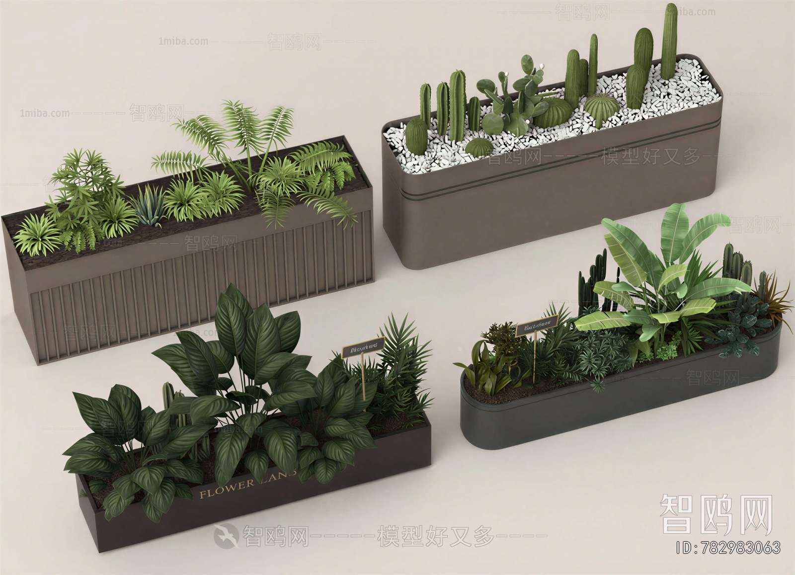 Modern Potted Green Plant