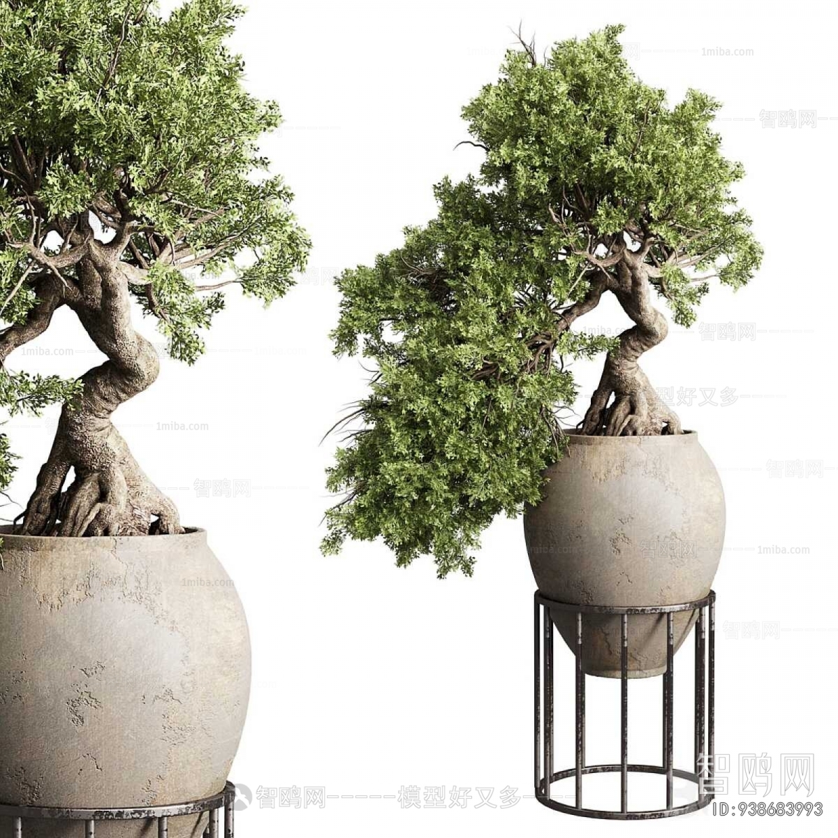 Modern Ground Green Plant Potted Plants