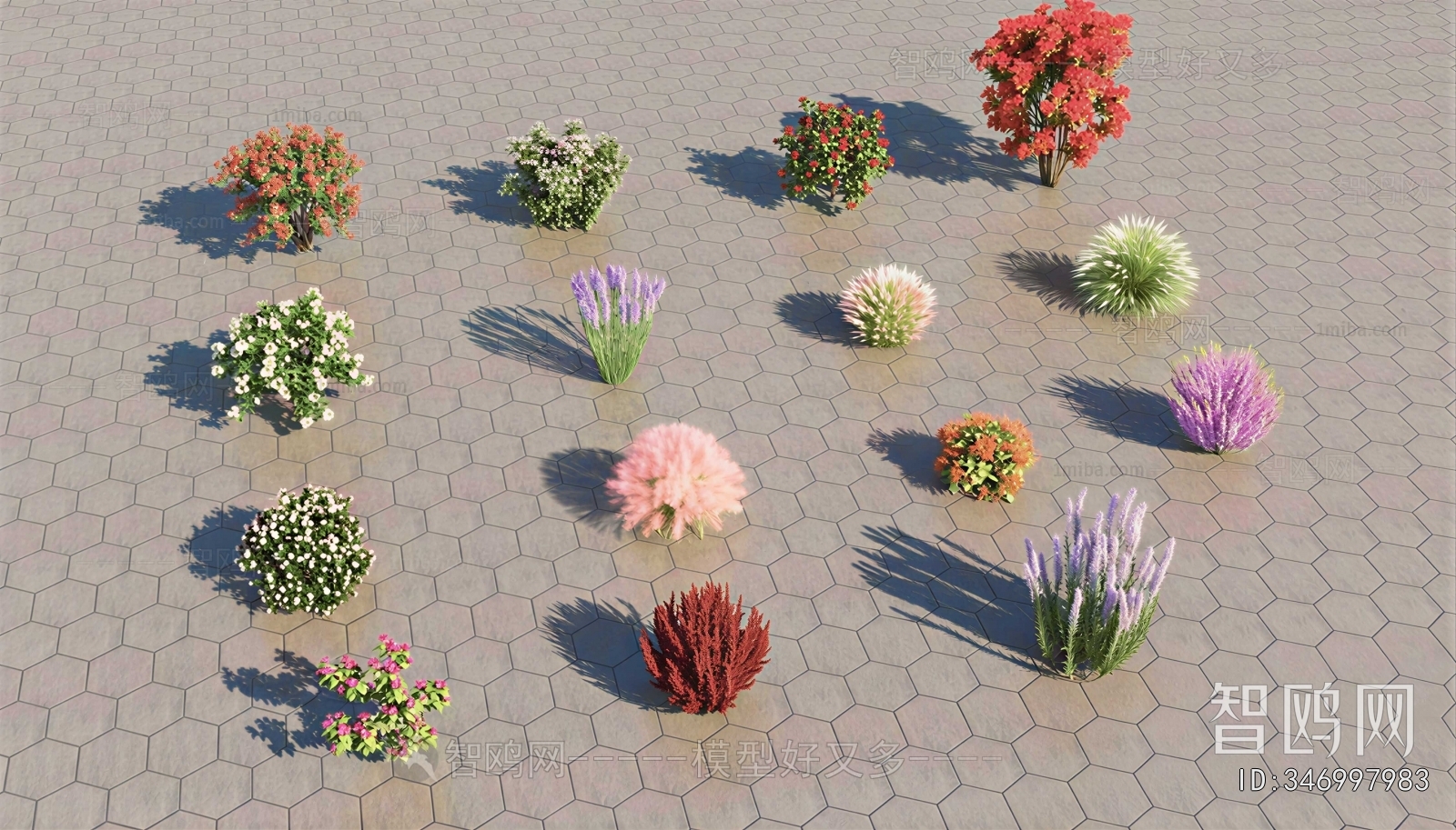 Modern Flowers And Grass