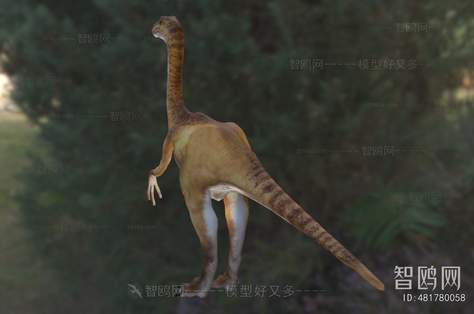 Modern Mammal