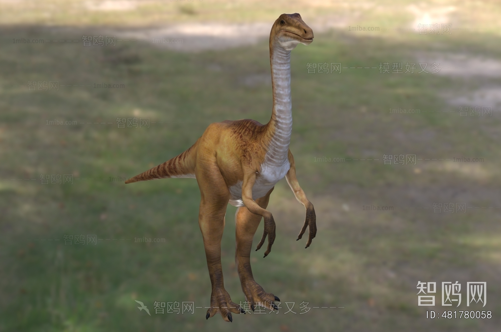 Modern Mammal