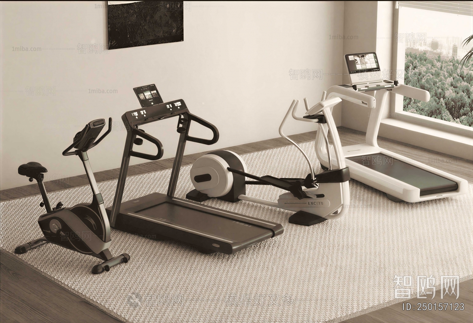 Modern Fitness Equipment