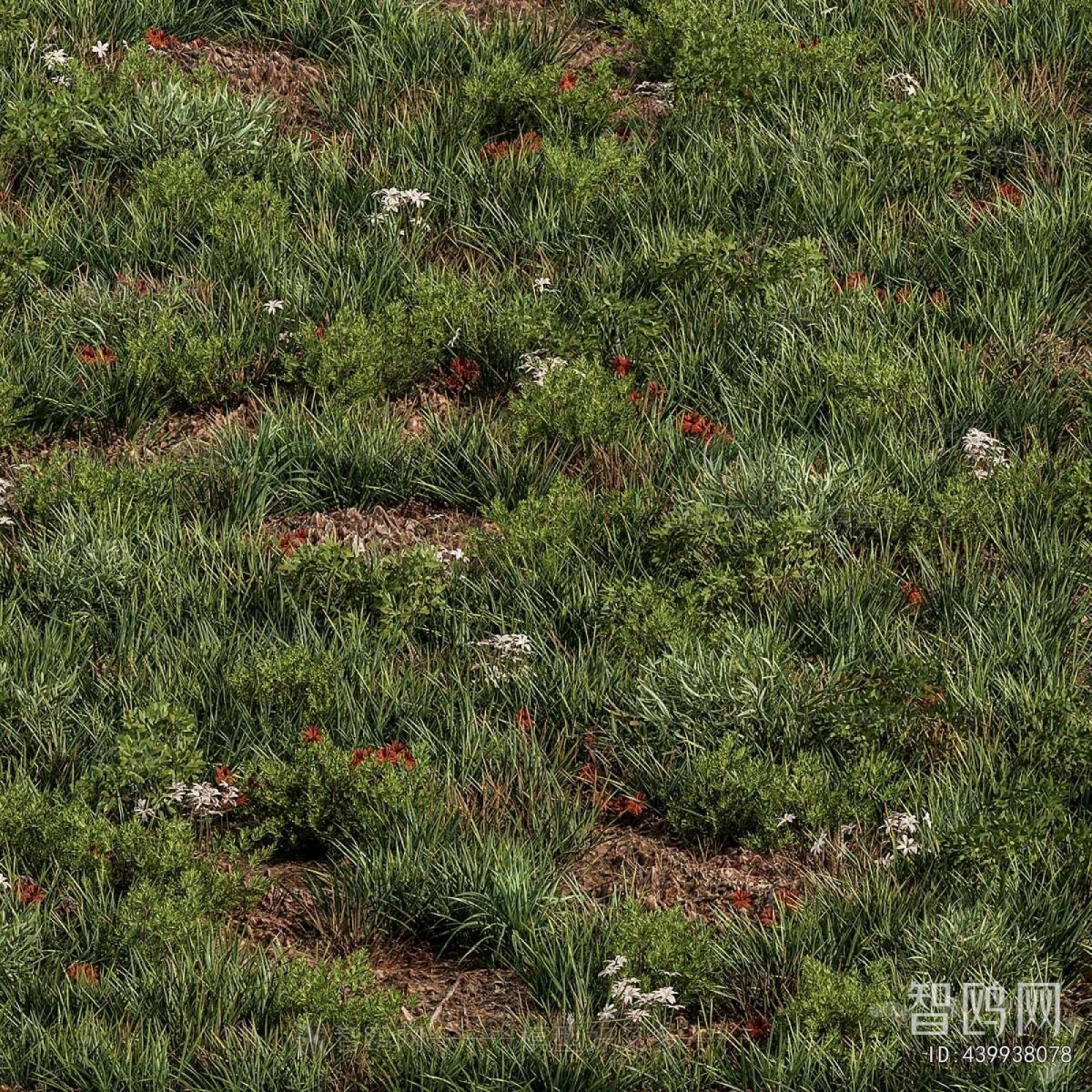 Modern Flowers And Grass