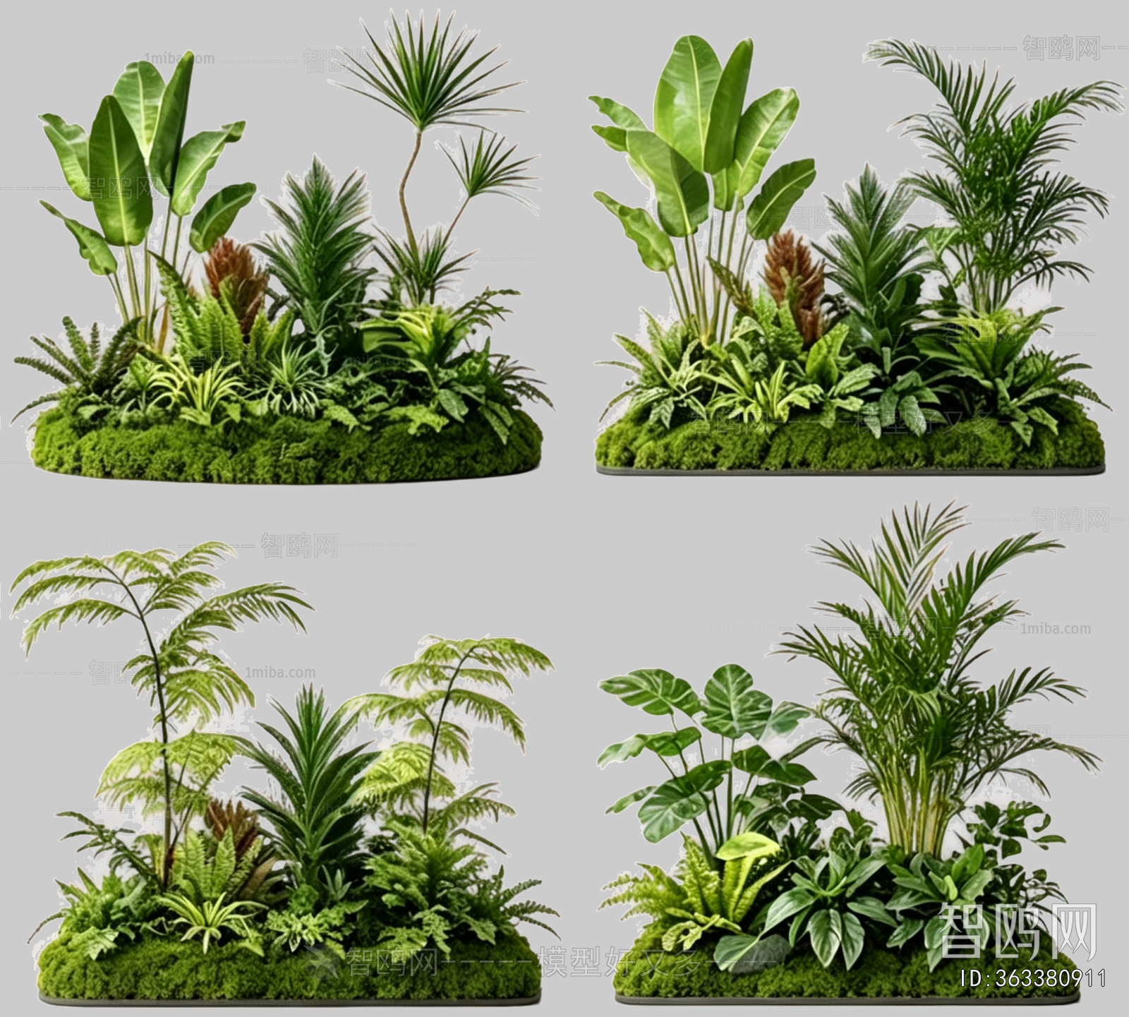Plant Leaves