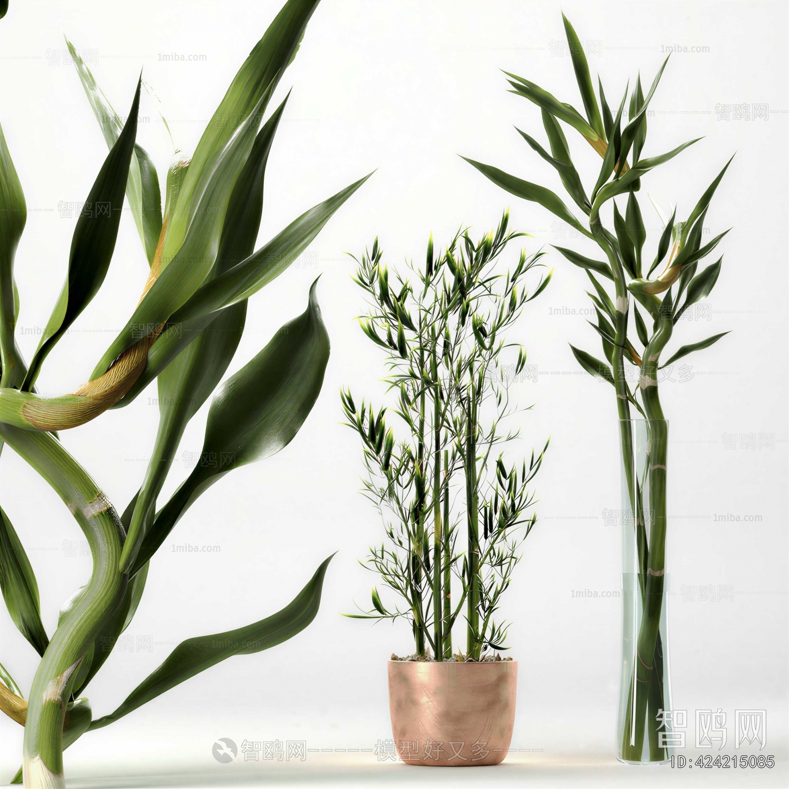 Modern Ground Green Plant Potted Plants