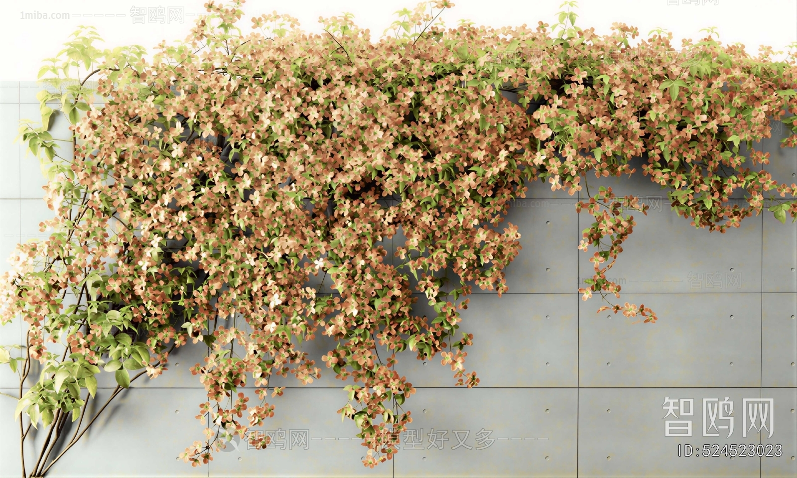 Modern Vine