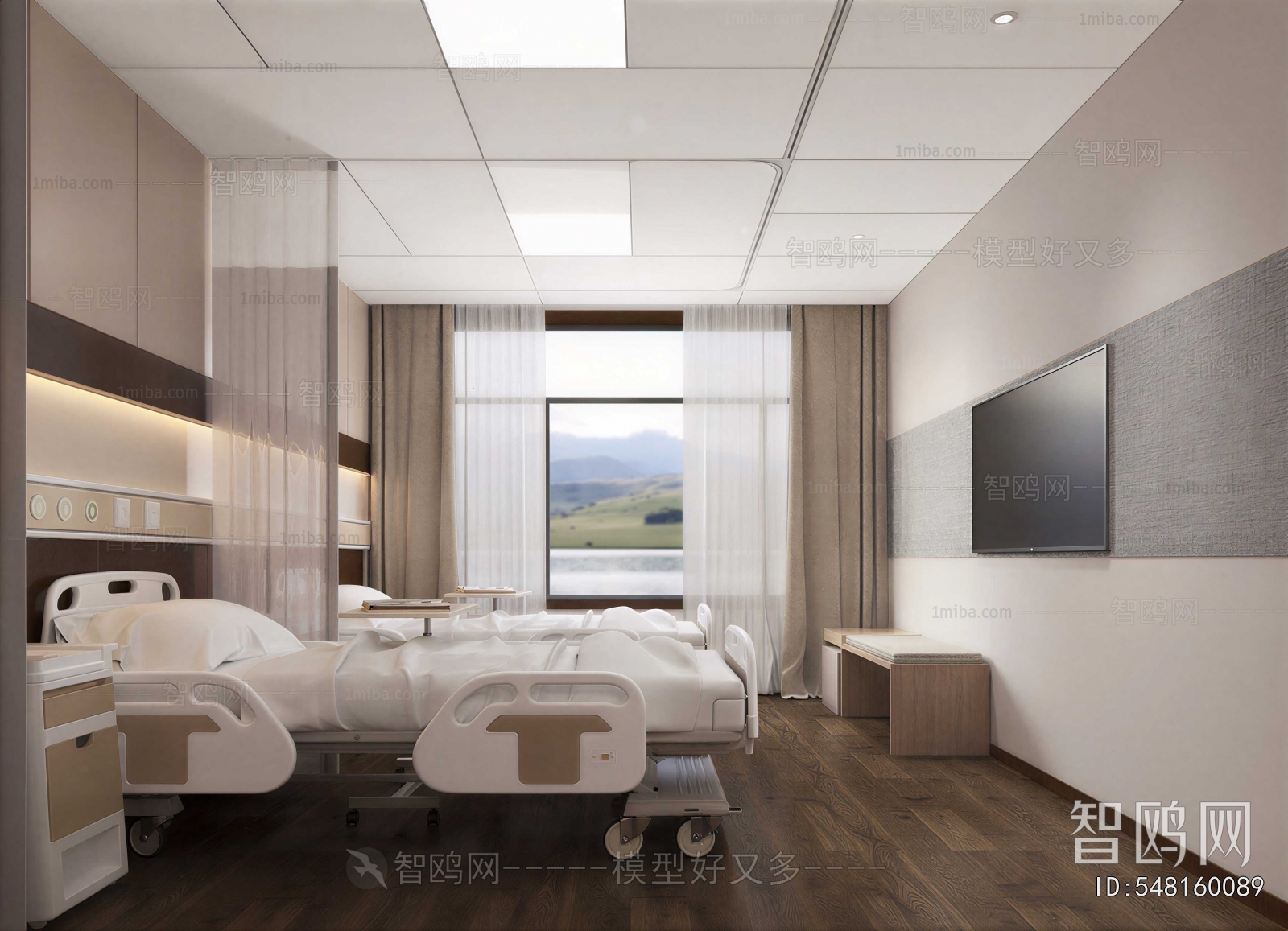Modern Ward