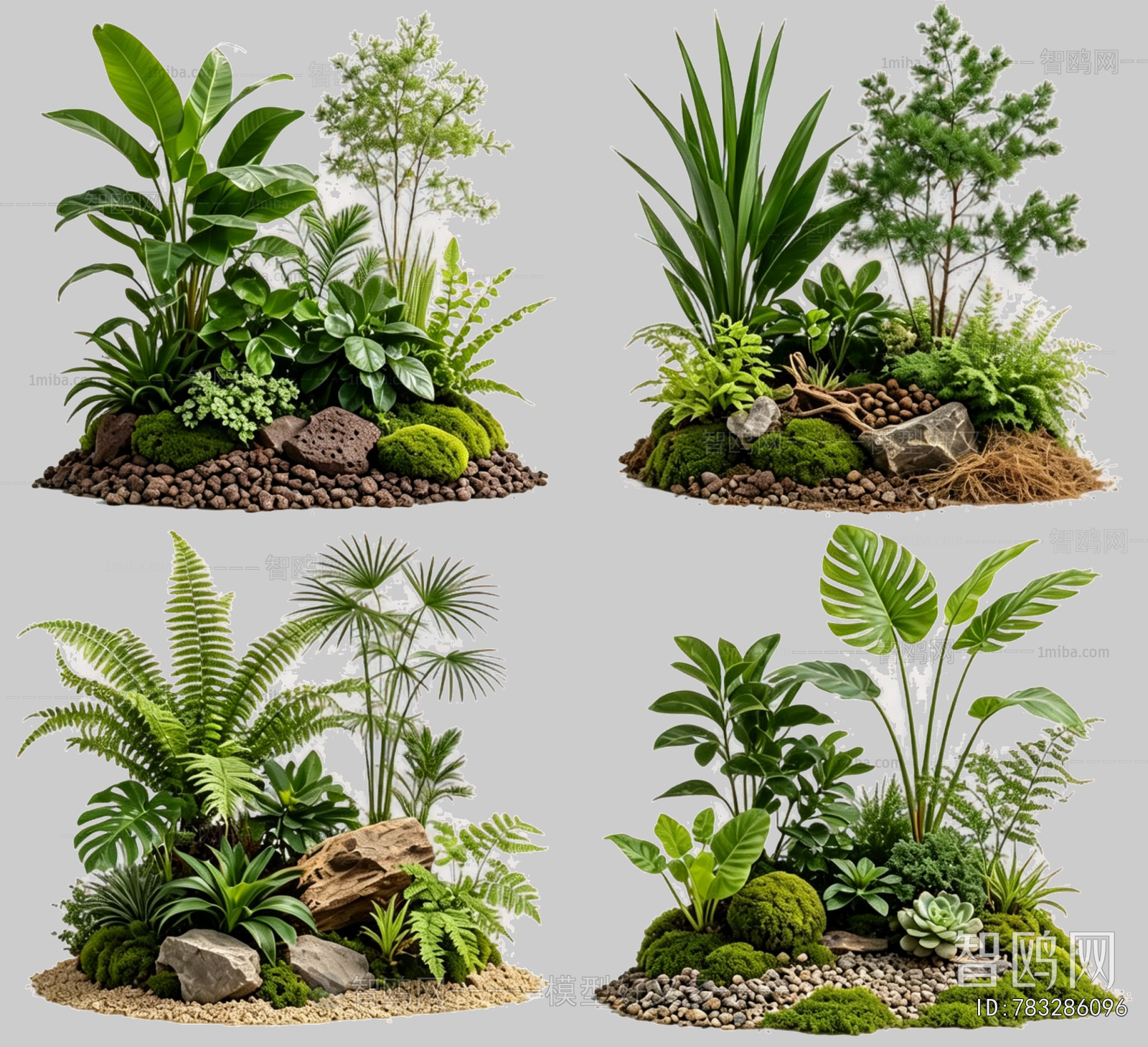 Plant Leaves
