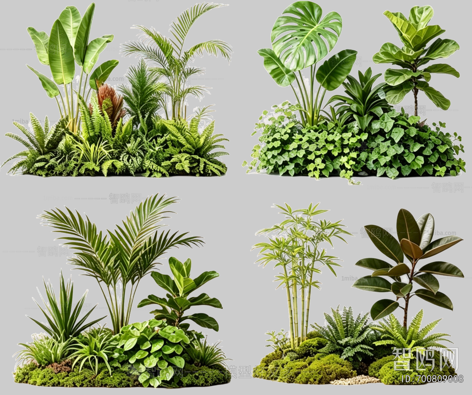 Plant Leaves