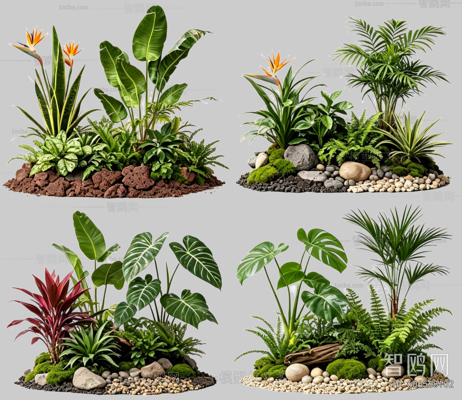 Plant Leaves