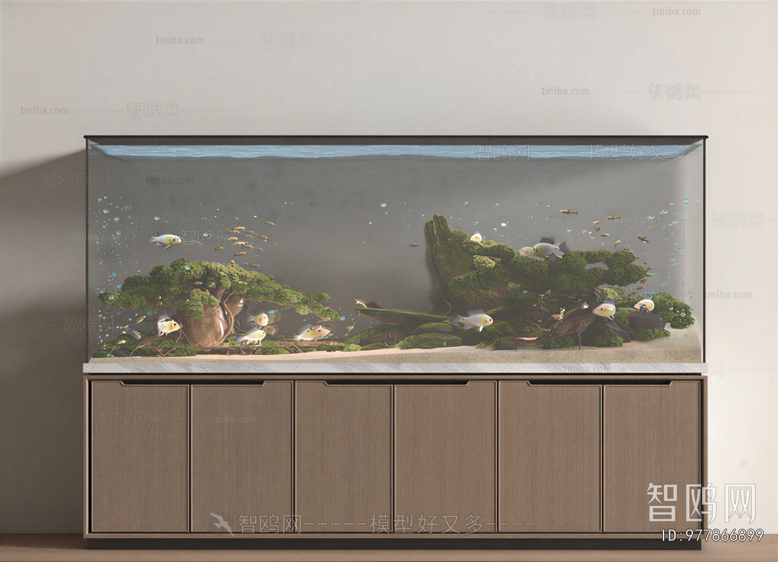 Modern Fish Tank