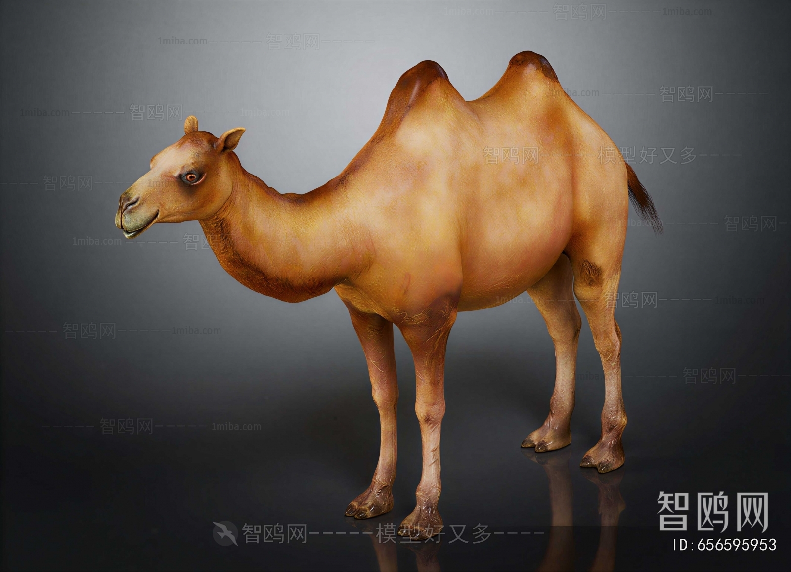 Modern Mammal