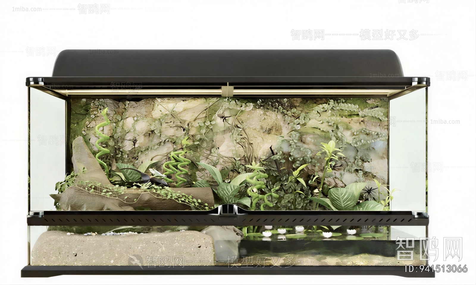 Modern Fish Tank