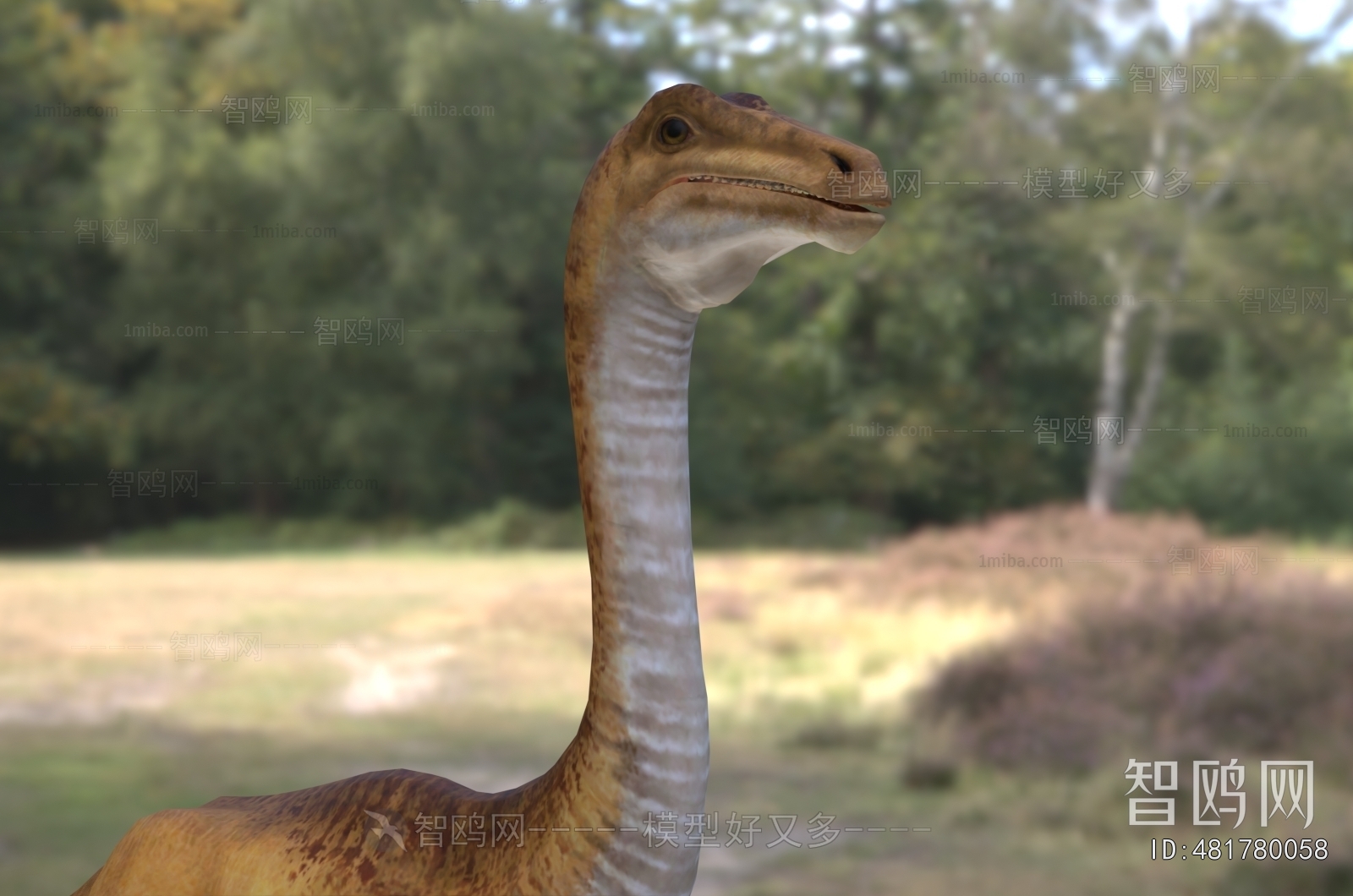 Modern Mammal