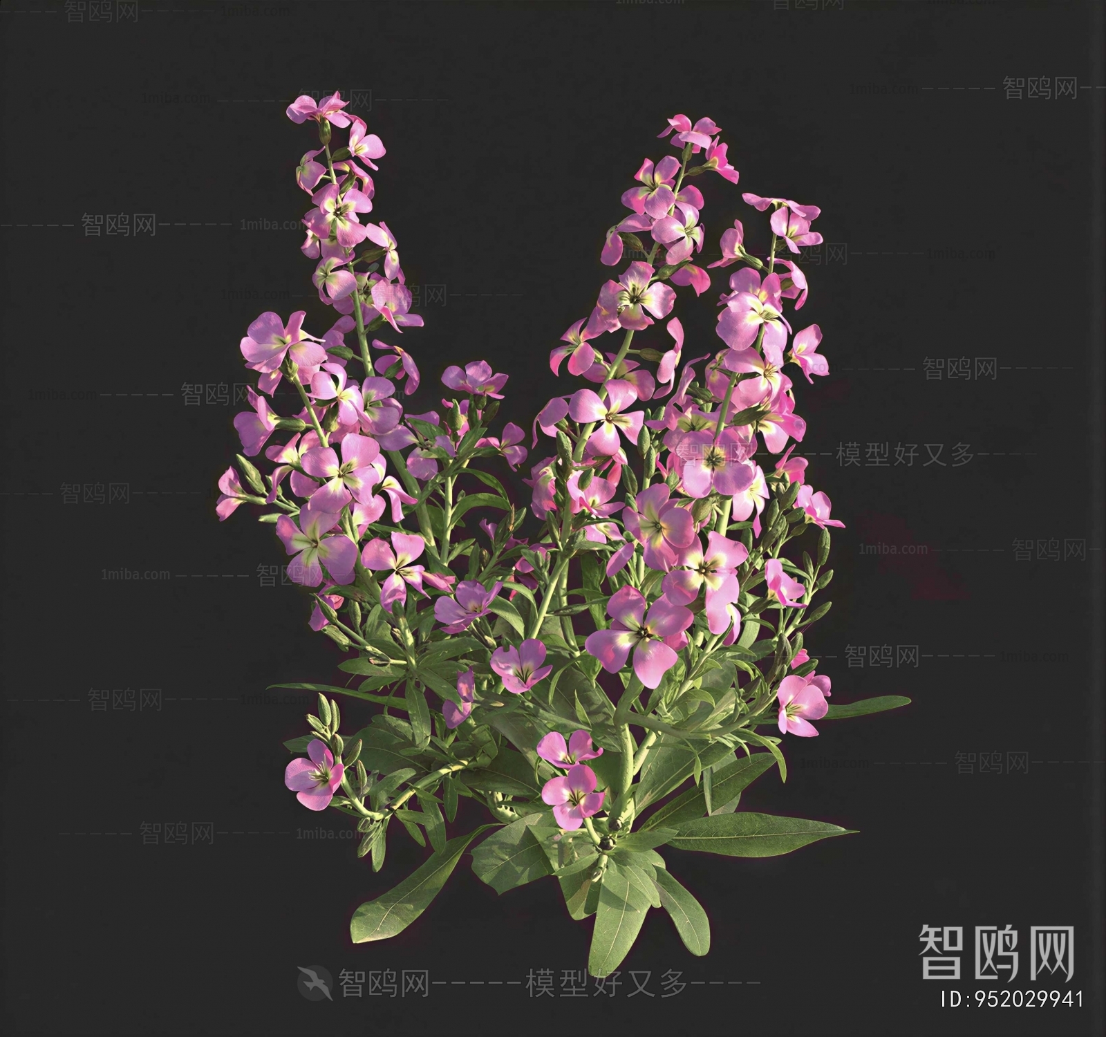 Modern Flowers And Grass