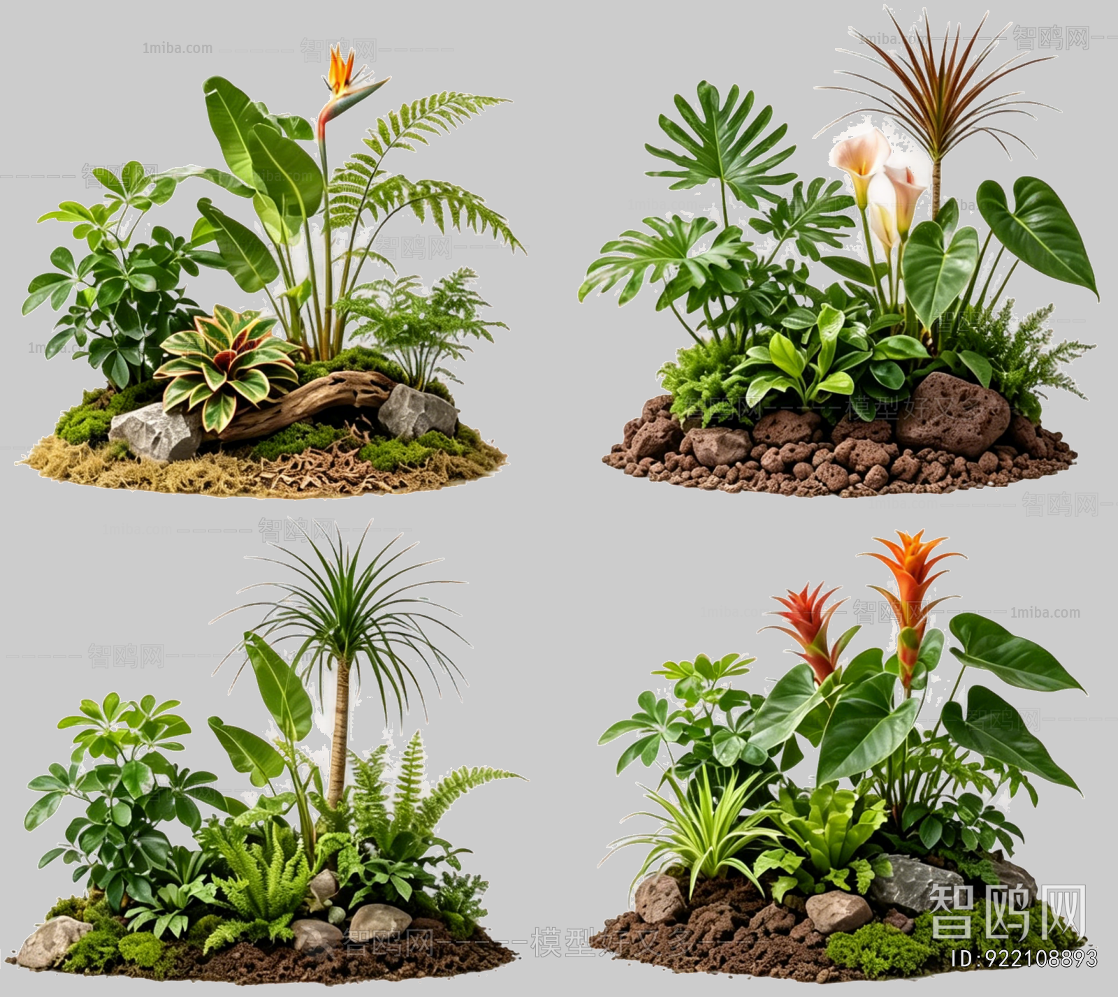 Plant Leaves