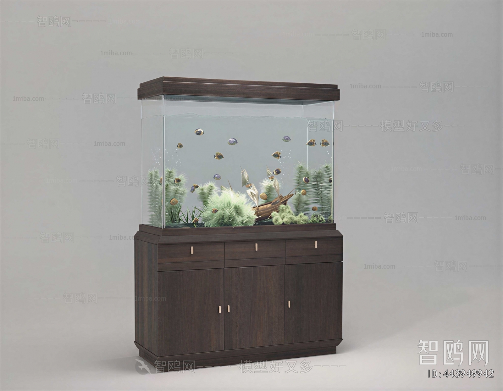 Modern Fish Tank
