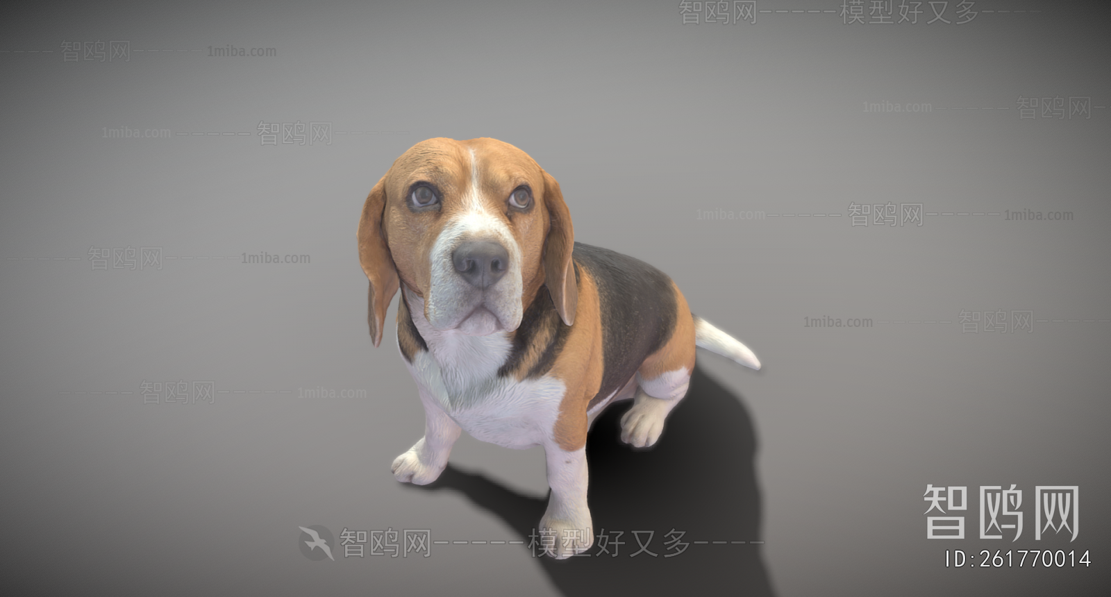 Modern Animal Dog