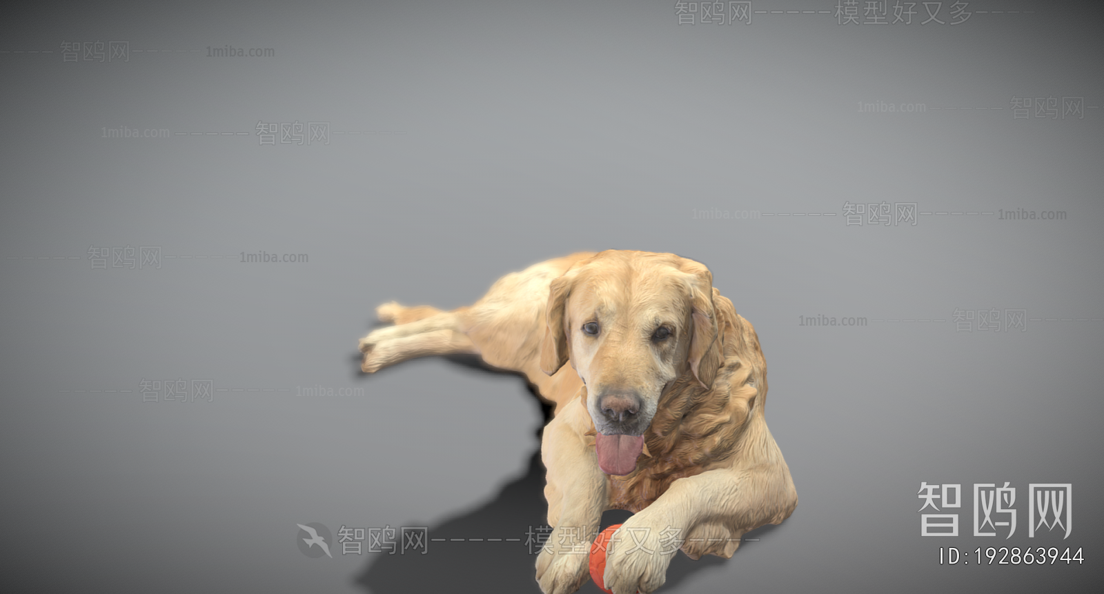 Modern Animal Dog