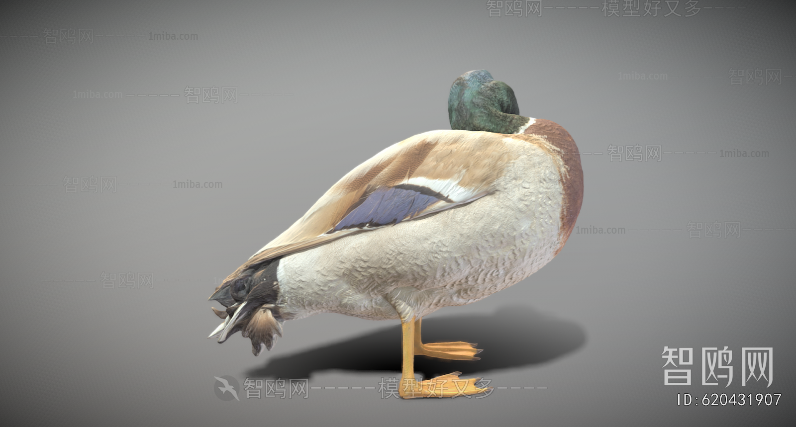 Modern Animal Duck