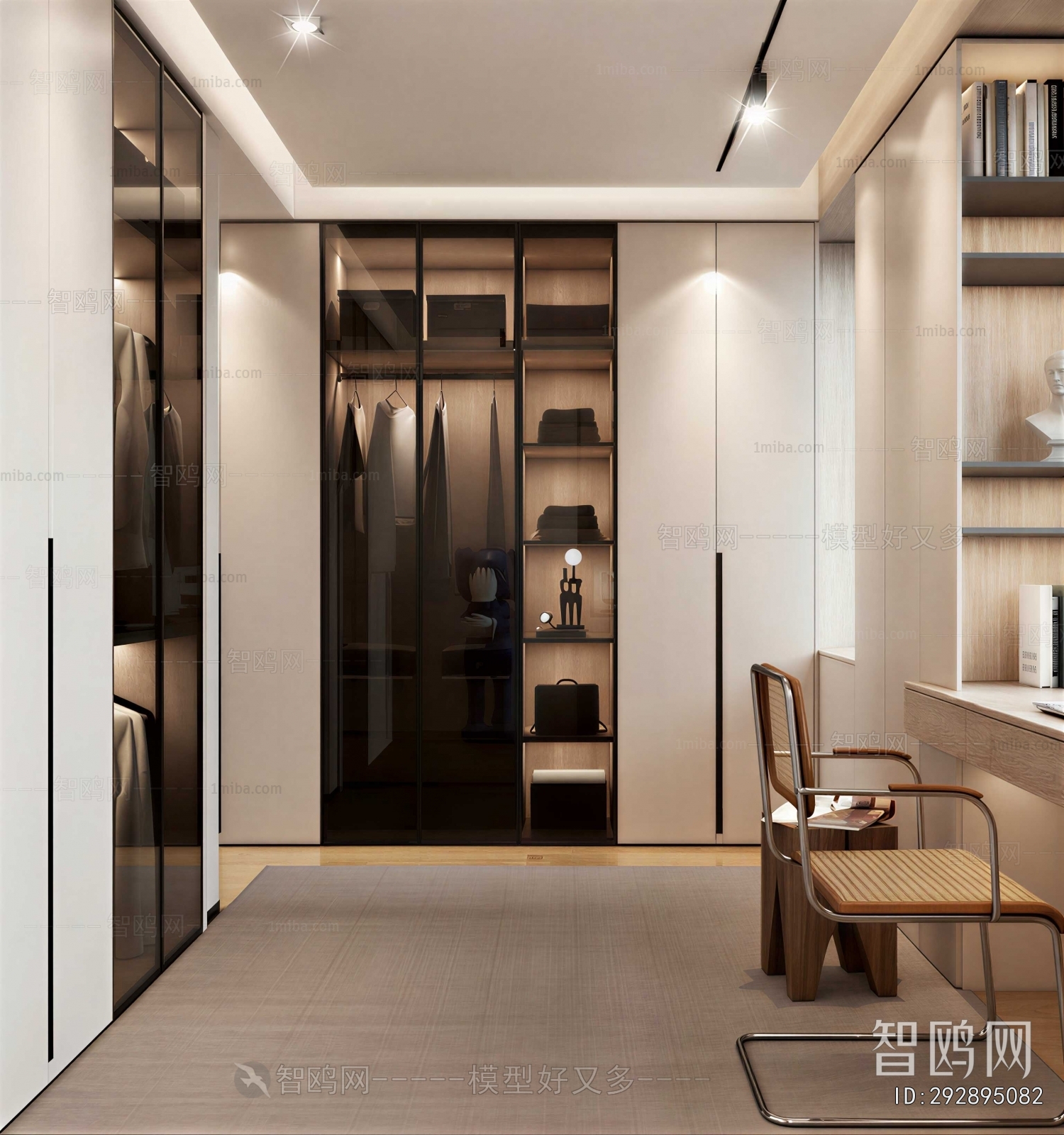 Modern Clothes Storage Area