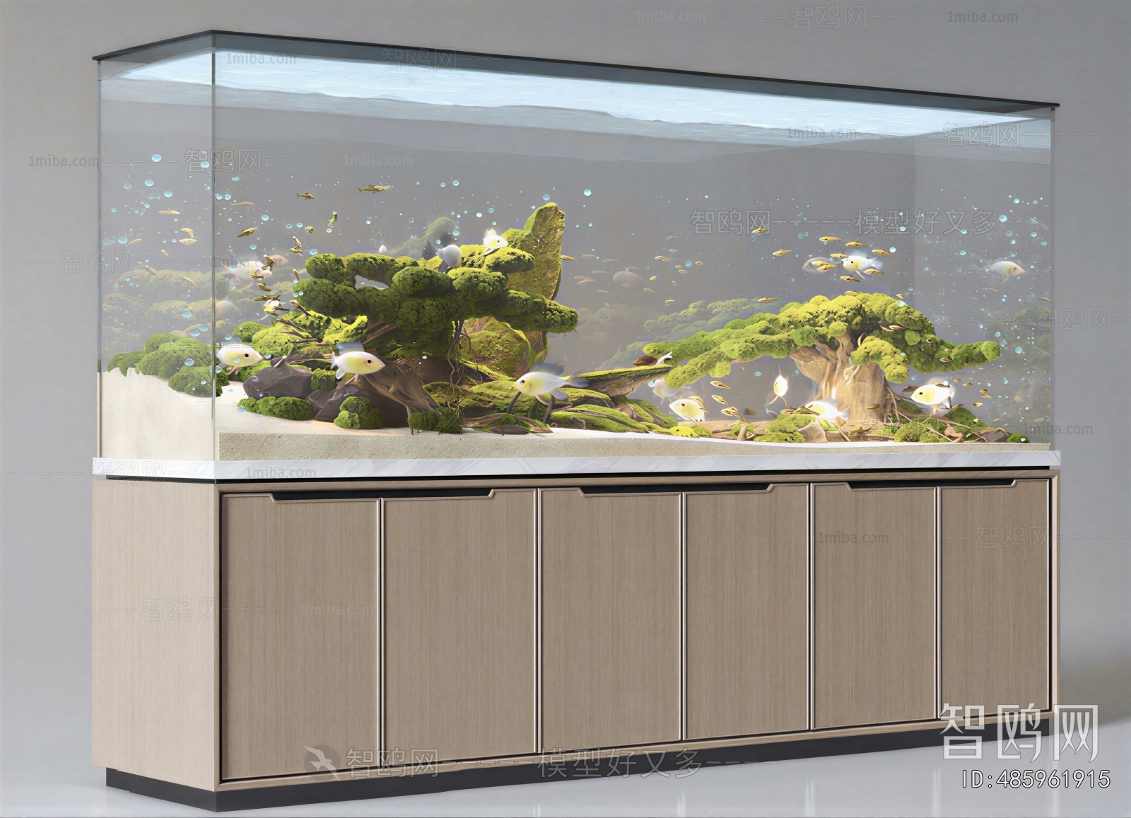Modern Fish Tank