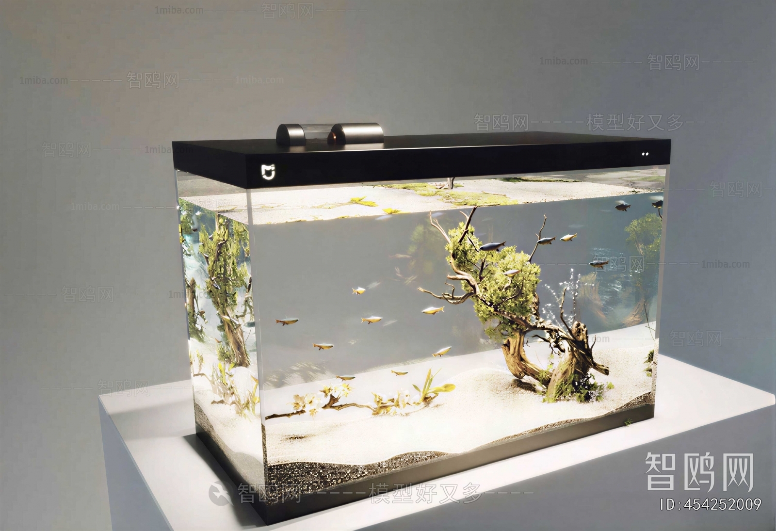 Modern Fish Tank