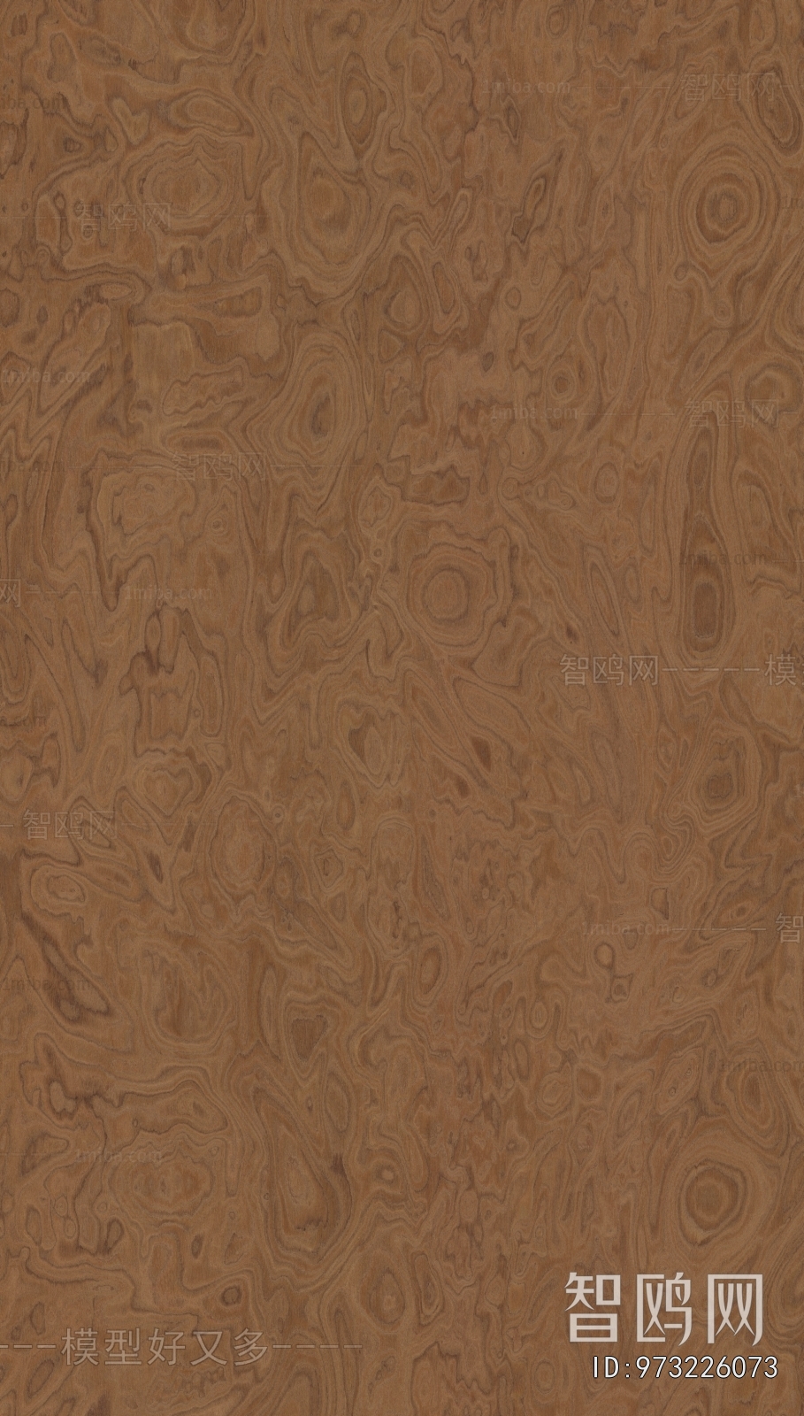 Wood Texture