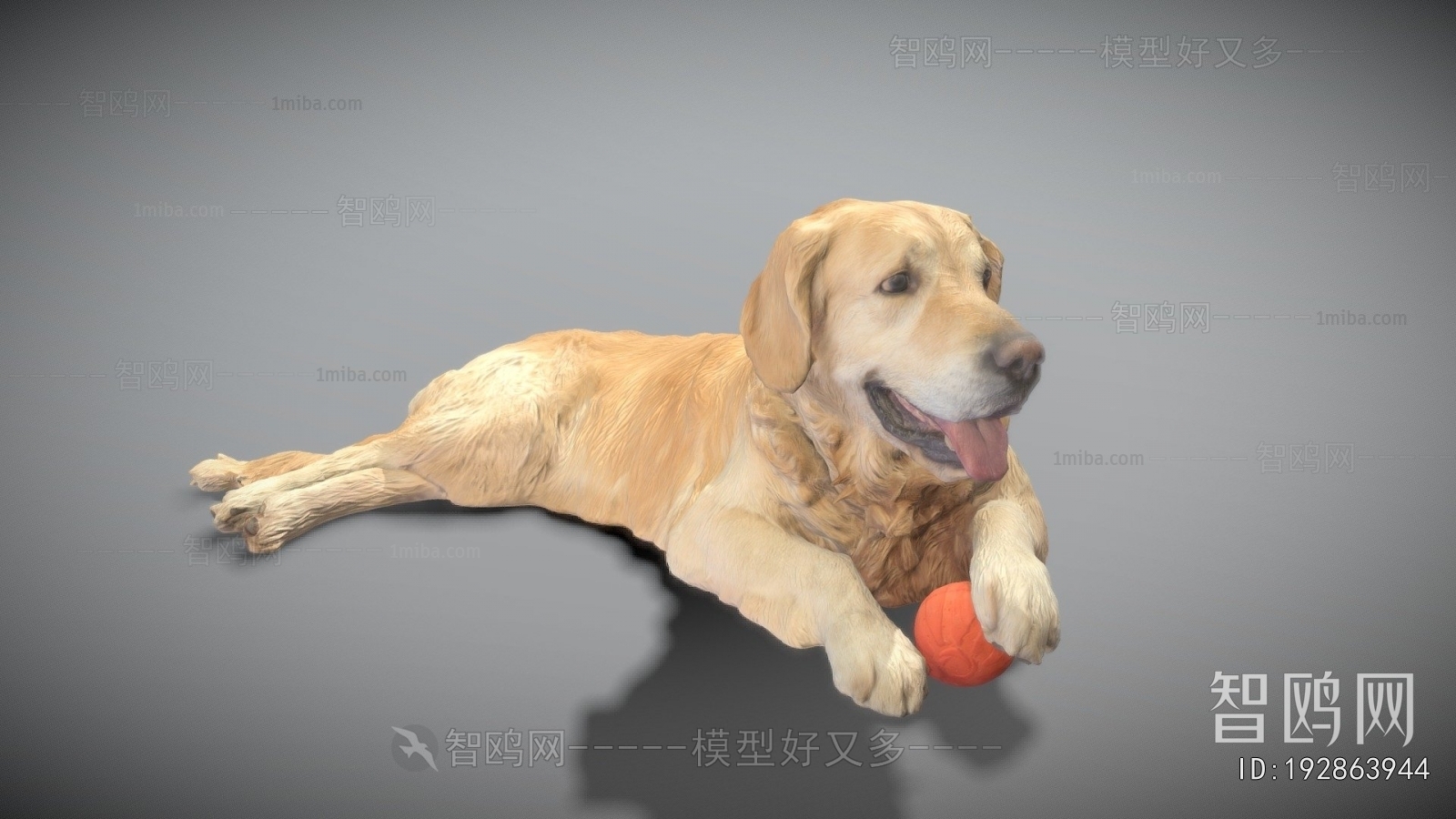 Modern Animal Dog