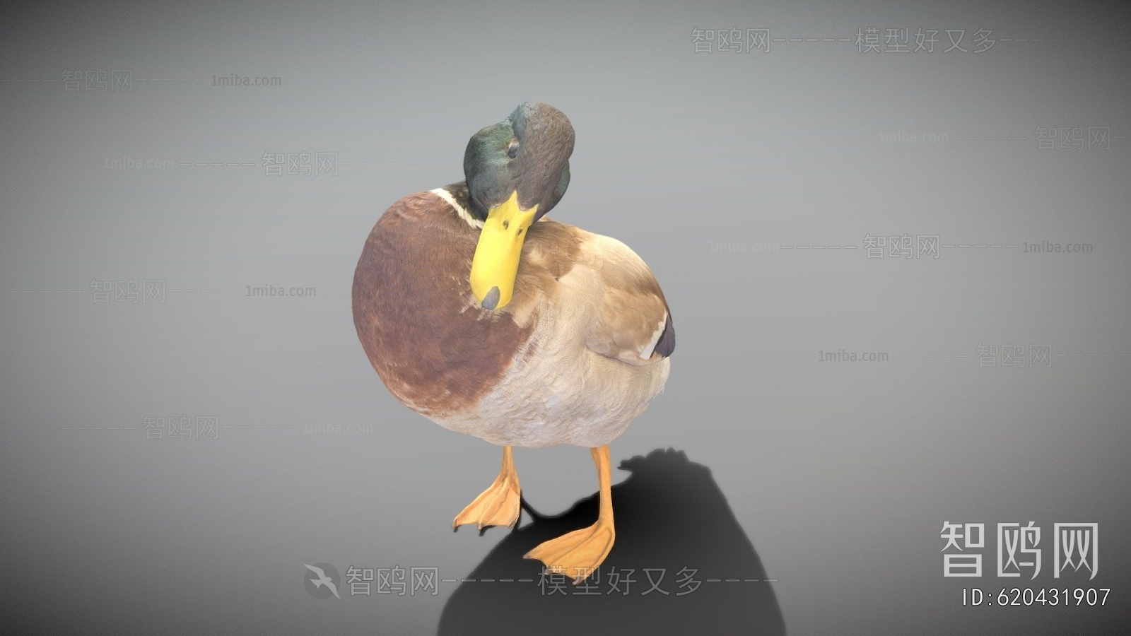Modern Animal Duck