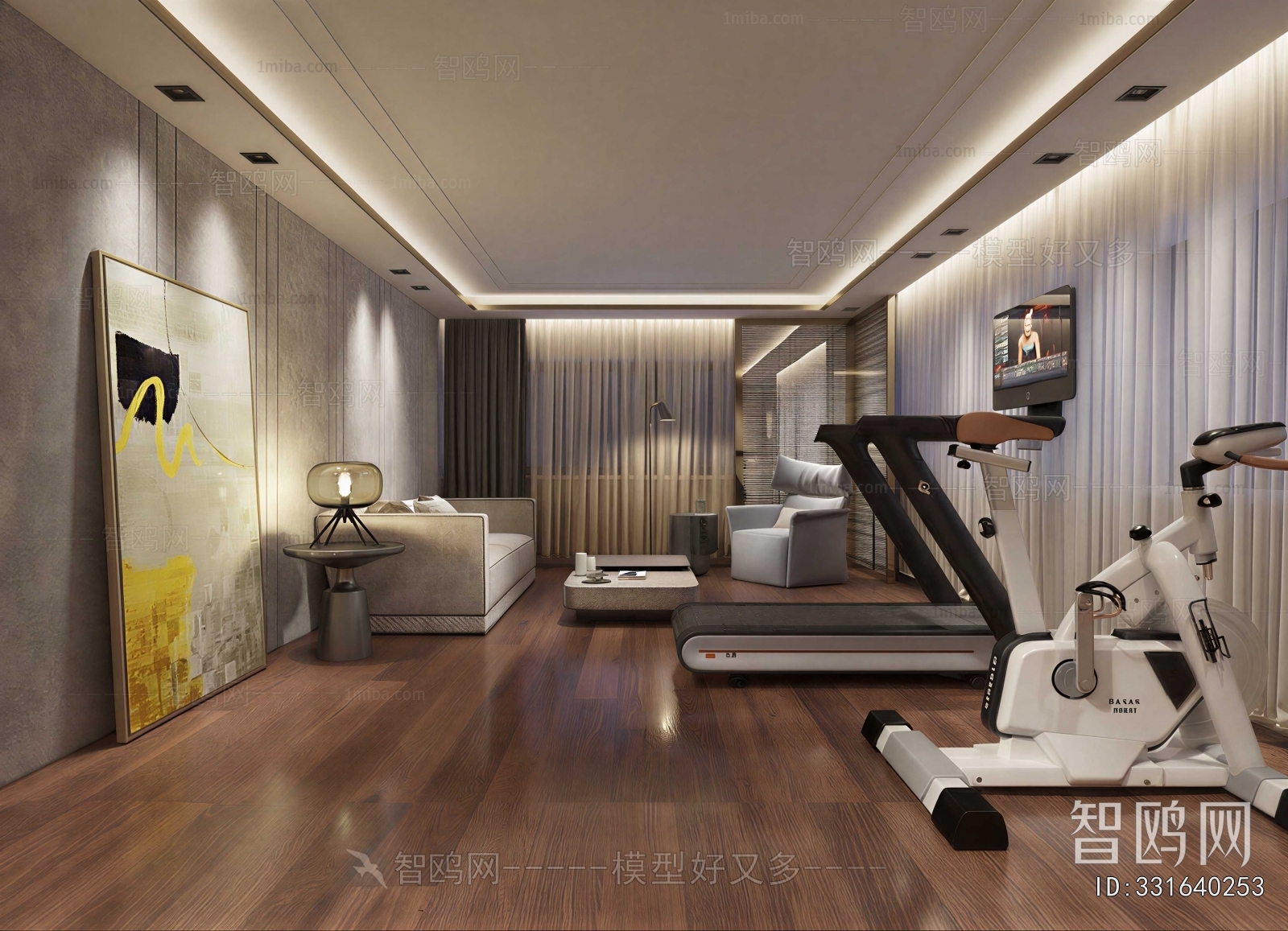 Modern Home Fitness Room