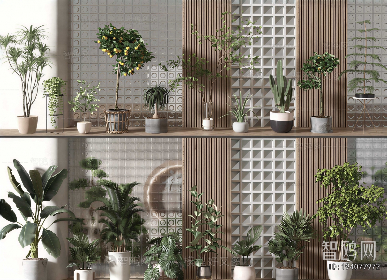 Modern Ground Green Plant Potted Plants