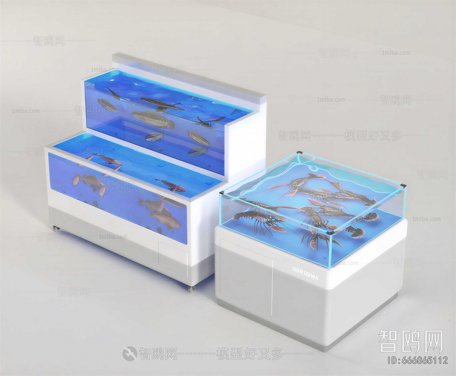 Modern Showcase