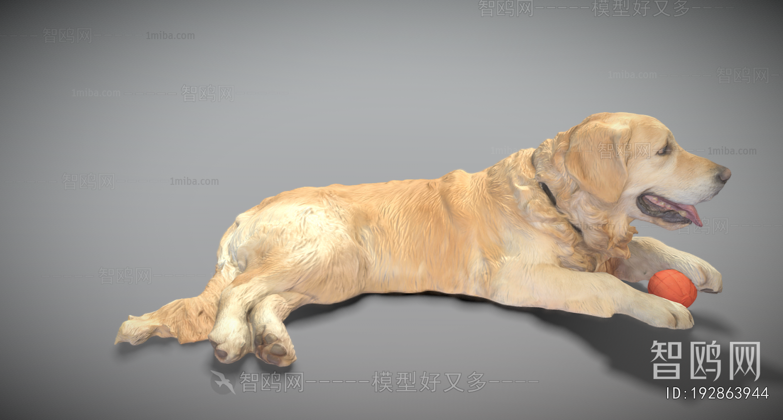 Modern Animal Dog