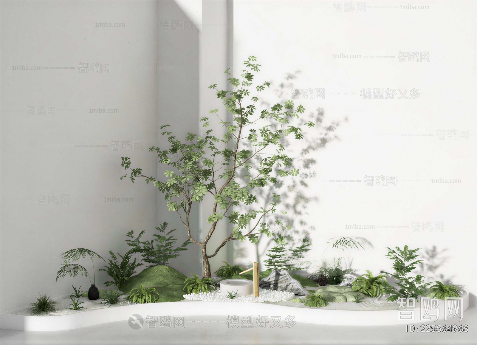 Modern Plant Landscaping