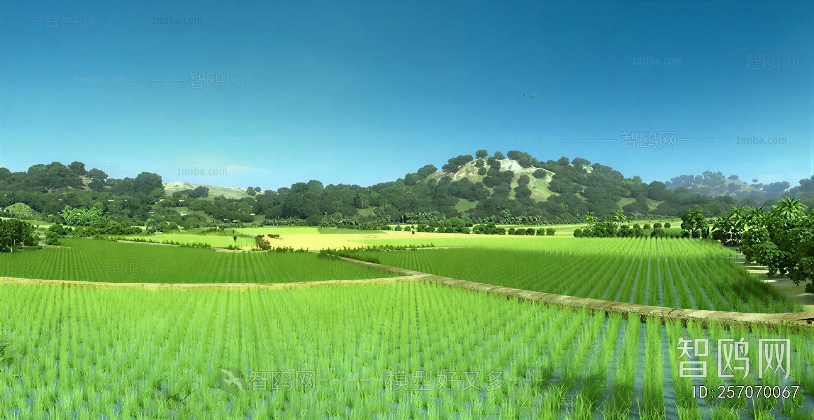 Modern Landscape