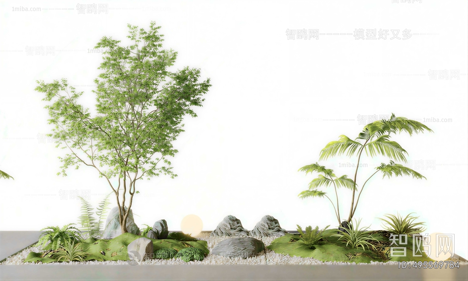 Modern Plant Landscaping